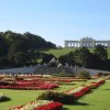 Wienwoche 037
